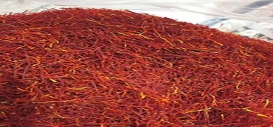 تصویر 1 از معرفی زعفران پوشال درجه یک + بهترین قیمت خرید